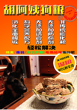 狗糧