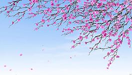 梅花背景视频素材