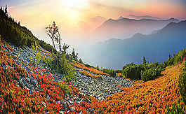 秋季自然風(fēng)光背景