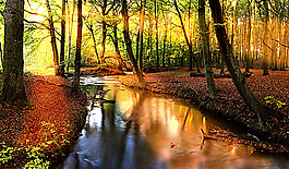 秋季自然風(fēng)光背景