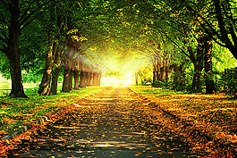 公園自然風(fēng)光背景