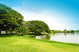 树木草地湖泊风景