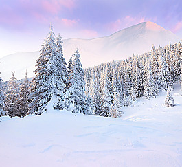 雪花背景素材