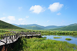 田野風光背景
