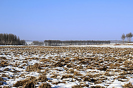 冬季風光背景素材