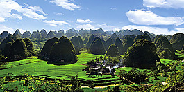 草原風光背景