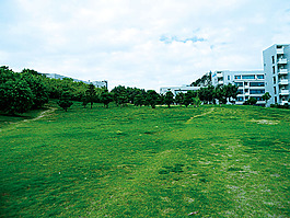 公園背景素材