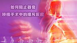 奔跑