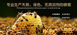 蜂蜜海報