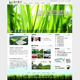 科技網(wǎng)站網(wǎng)頁設計綠色農(nóng)業(yè)網(wǎng)頁