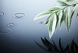 水紋背景高清圖片