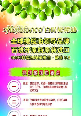 橄欖油易拉寶