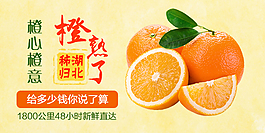 橙子活動banner