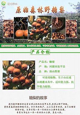 糖梨詳情頁