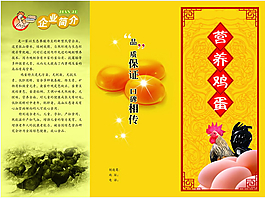 生態(tài)養(yǎng)雞場(chǎng)營(yíng)養(yǎng)雞蛋