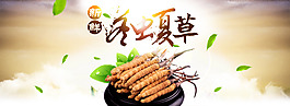 冬蟲夏草