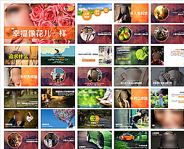 簡約PPT  簡潔PPT