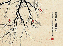 中國風普洱茶網頁滾屏