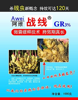 戰(zhàn)線