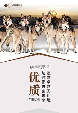 狼 企業(yè)團(tuán)隊(duì)