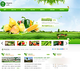 網(wǎng)頁(yè)設(shè)計(jì)