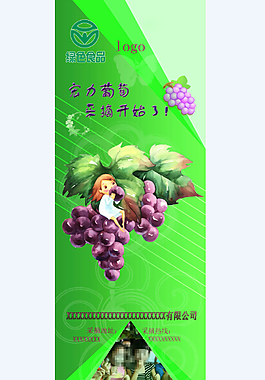 宏力葡萄 采摘開始了