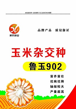 玉米包装