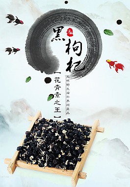 黑枸杞