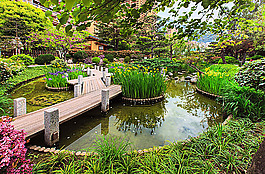 公園水潭風景