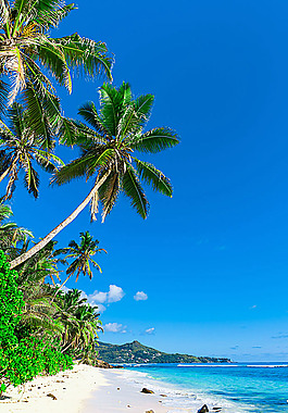 夏日旅游背景