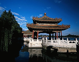 庭子