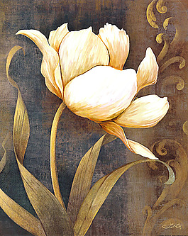 花卉無(wú)框畫