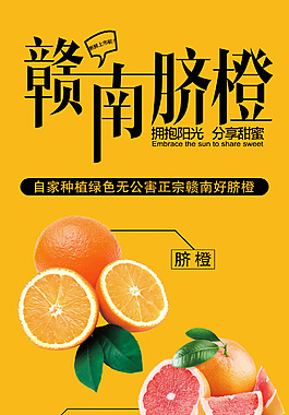 赣南脐橙宣传卡片