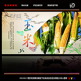 玉米圖片