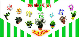 新生報到，綠植贈送
