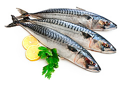 魚(yú)