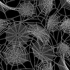 蜘蛛網插畫