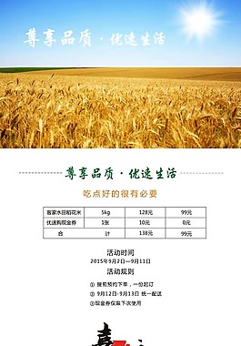 活動詳情圖