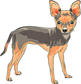 卡通小鹿狗插畫(huà)
