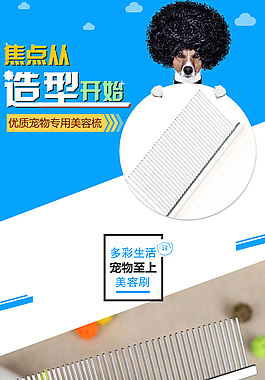 宠物专用造型美容梳淘宝详情页
