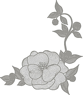 矢量花朵圖案