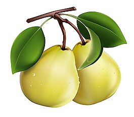矢量梨素材