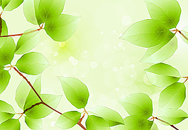 夢幻背景底紋