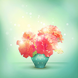 花瓶里的花朵