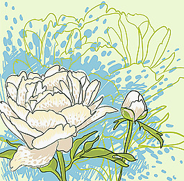 清新白色花卉背景