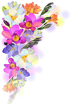 五顏六色的花朵插畫