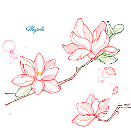 蓮花圖案素材