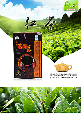 龙井茶茶详情茶叶详情淘宝详情模版