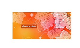 夢(mèng)幻背景設(shè)計(jì)