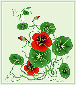 歐美花紋449